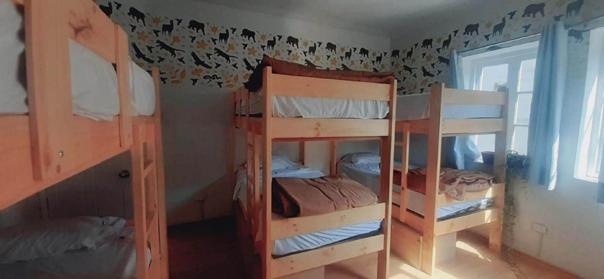 Quinoa Backpackers Hostel Lima Kültér fotó