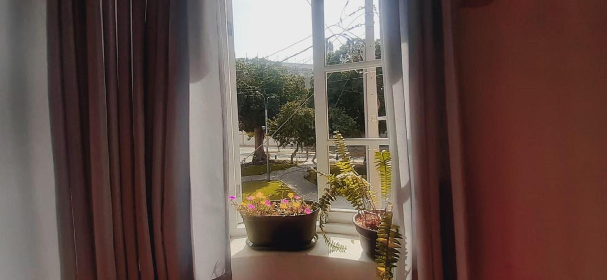Quinoa Backpackers Hostel Lima Kültér fotó